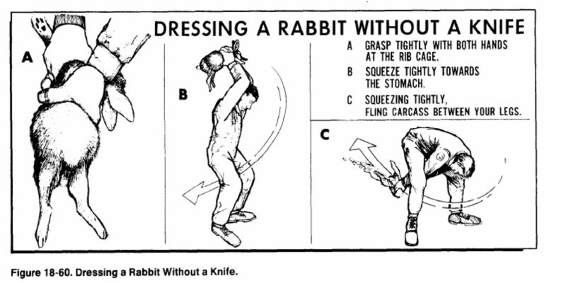 Illustration for article titled How To Fuck In The Woods, And Other Survival Tips